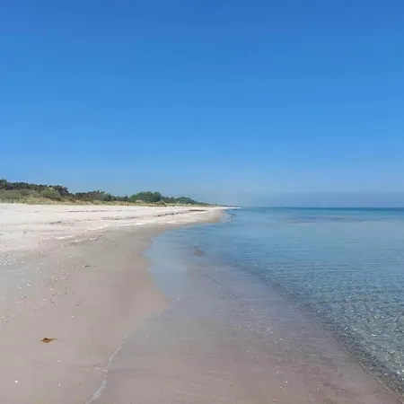Prázdninový dům 4 Star In Vaeggerlose-by Traum